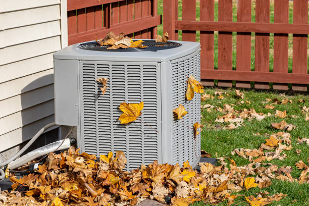 Best HVAC air duct cleaning  in Edison, GA